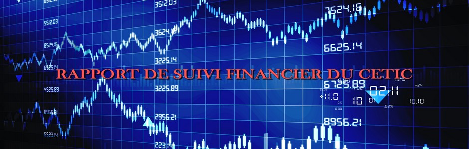 Rapport de suivi financier du 1er Janvier 2016 au 30 juin 2016