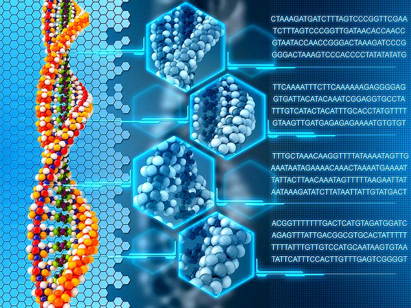 Workshop sur la Bio-informatique du 07 au 11 Janvier 2019 à Yaoundé ACEDIG/CETIC