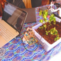 Argriculture Climato Intelligente