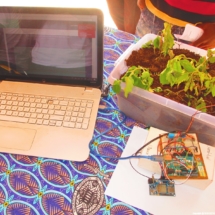 Argriculture Climato Intelligente 4