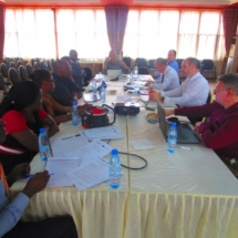 IMG_2172 02-28-2019 IMG_2172 02-28-2019