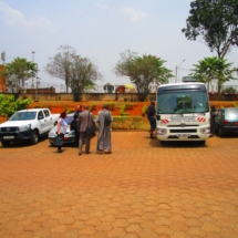 IMG_2215 02-28-2019 IMG_2215 02-28-2019